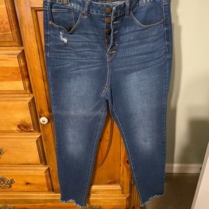 Kaari Blue High Rise Skinny Ankle Jeans Size 12